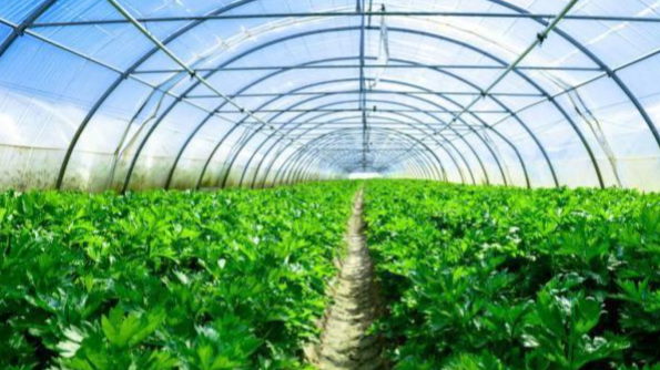 1-250GGG609313.png 1-250GGG609313.png